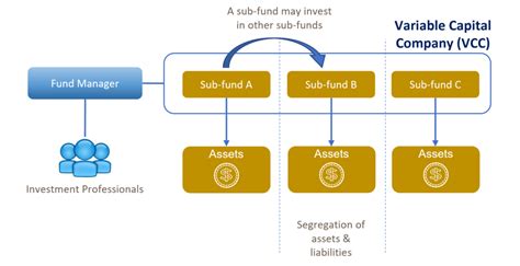 vcc meaning|vcc meaning in finance.